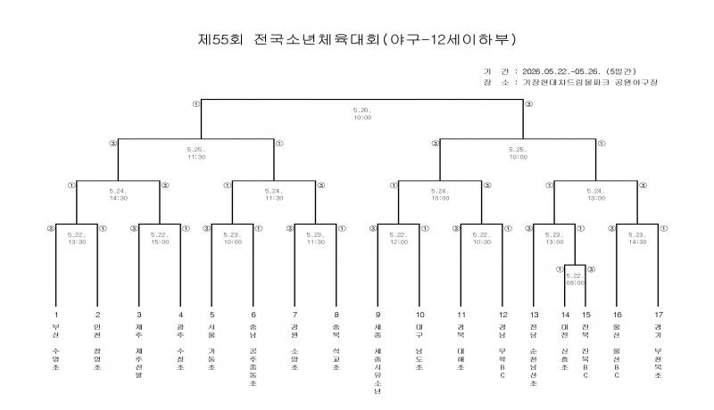 제55회 전국소년체육대회(야구) 22일(금) 개막