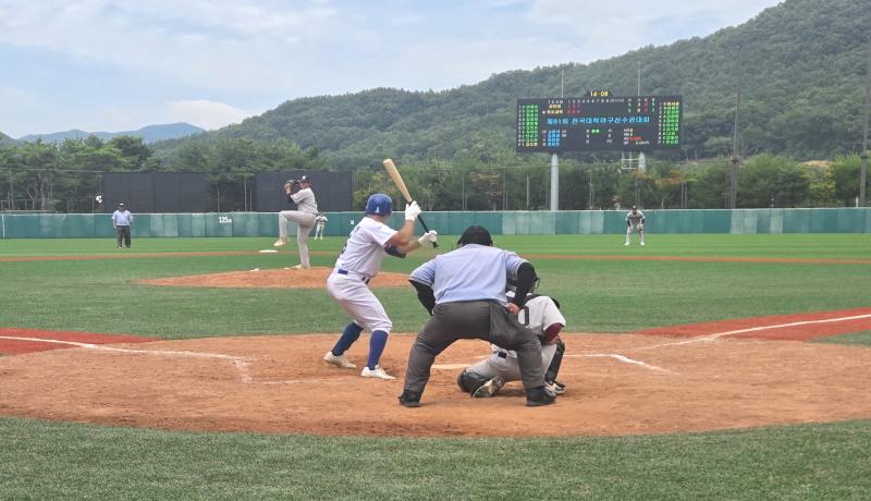 제81회 전국대학야구선수권대회 열전 돌입